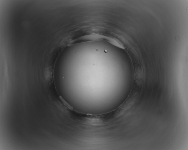 X0000089830284200706281217