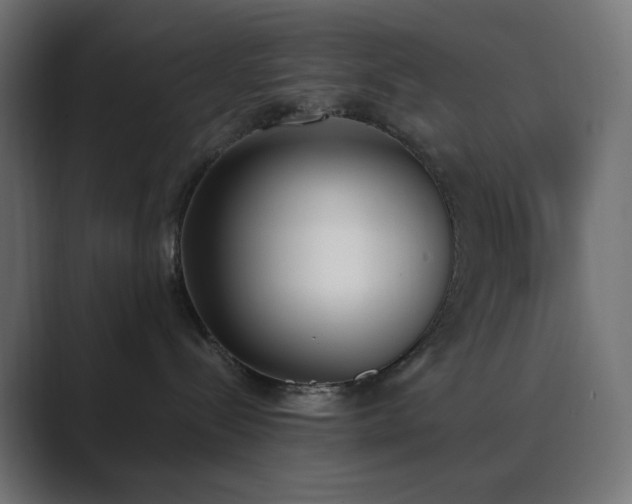 X0000089830288200706281217
