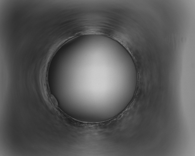 X0000089830289200706281217