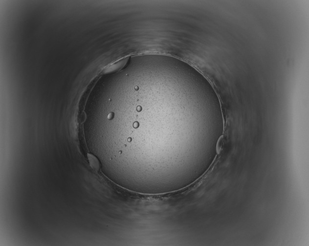 X0000089830290200706281217