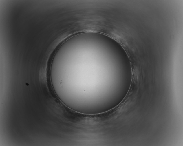 X0000089830292200706281217
