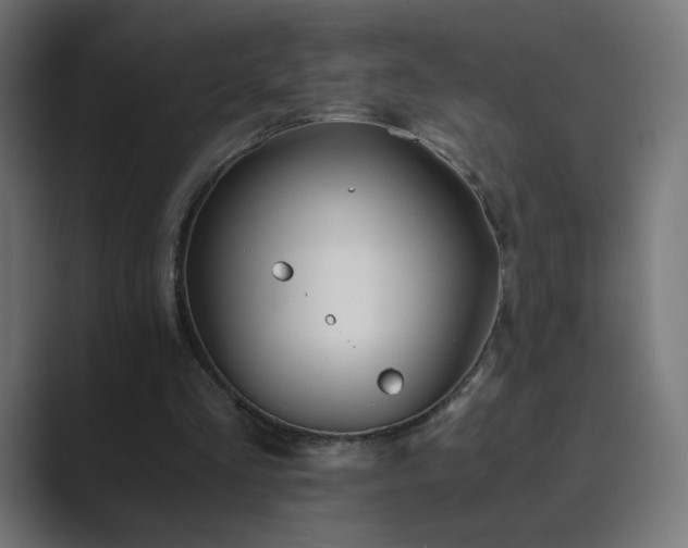 X0000089830293200706281217