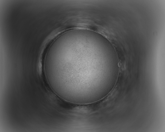 X0000089830294200706281217