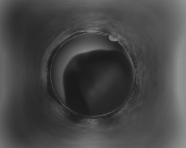 X0000089830295200706281217