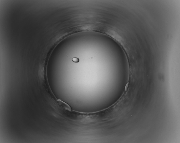 X0000089830297200706281217