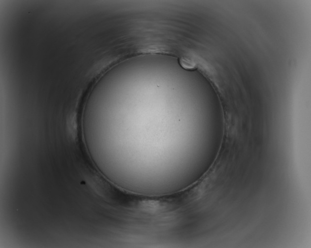 X0000089830298200706281217