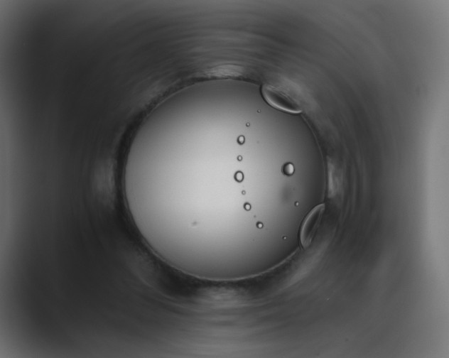 X0000089830300200706281217