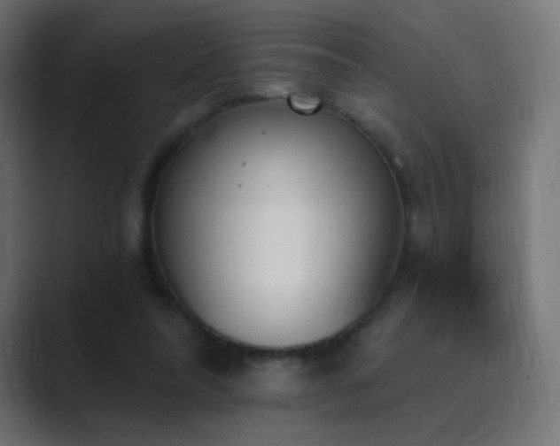 X0000089830304200706281217