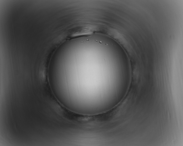 X0000089830305200706281217
