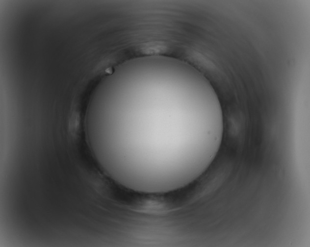 X0000089830308200706281216