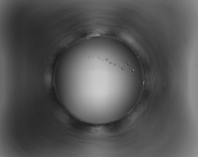 X0000089830309200706281216