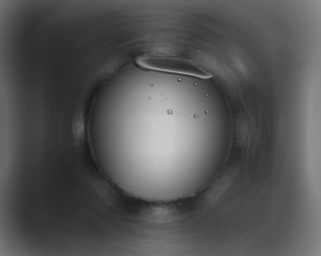 X0000089830310200706281216