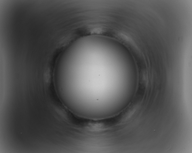 X0000089830311200706281216