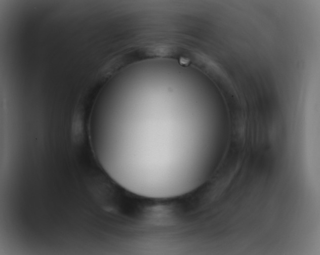 X0000089830312200706281216