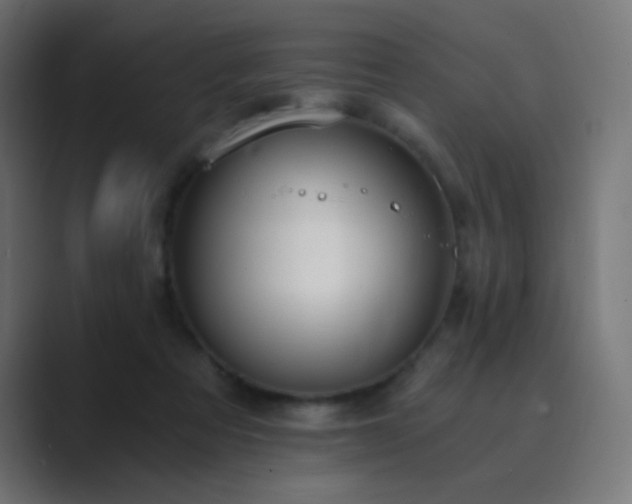 X0000089830313200706281216