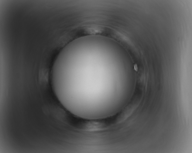 X0000089830315200706281216