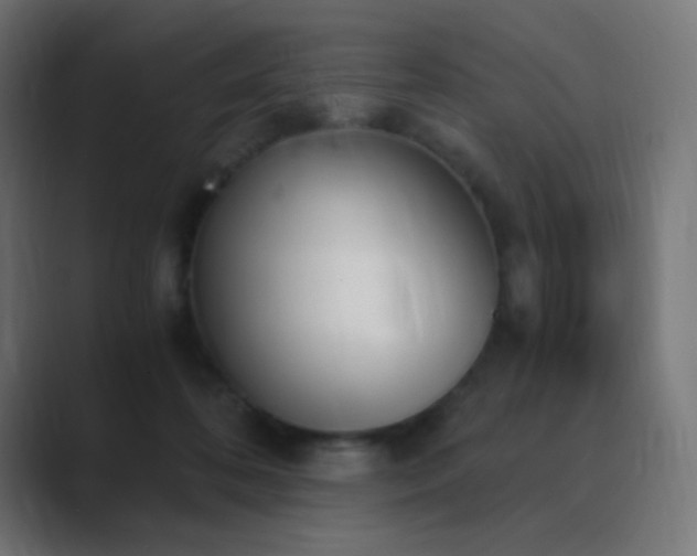 X0000089830316200706281216