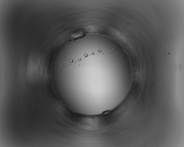 X0000089830317200706281216