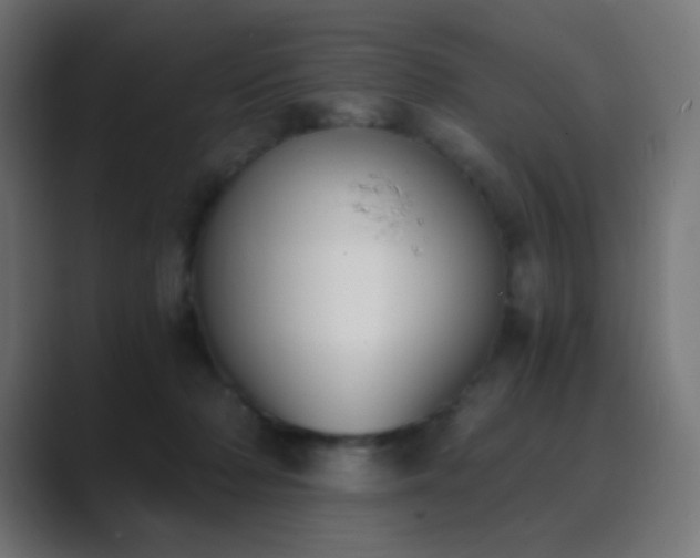 X0000089830318200706281216