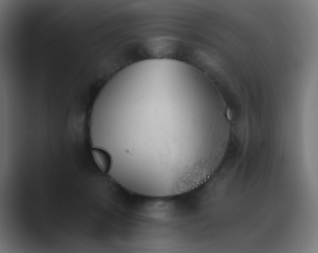 X0000089830319200706281216