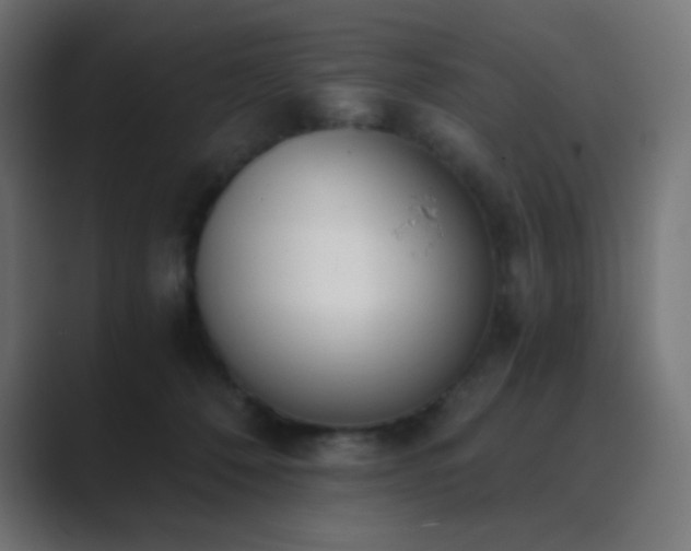 X0000089830320200706281216