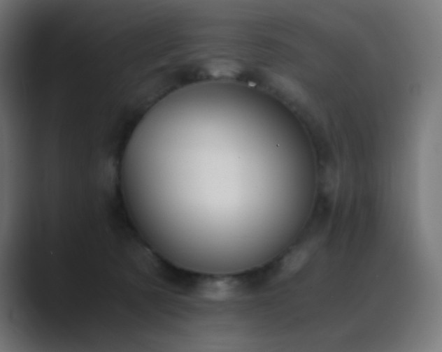 X0000089830321200706281216