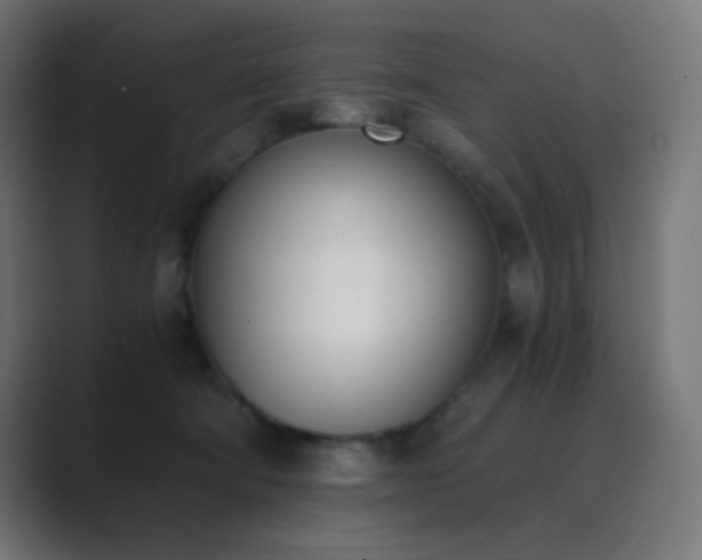 X0000089830322200706281216