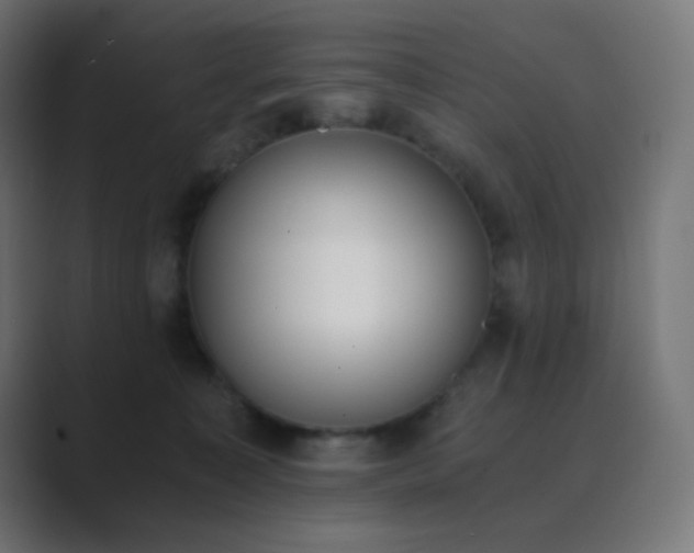 X0000089830323200706281216