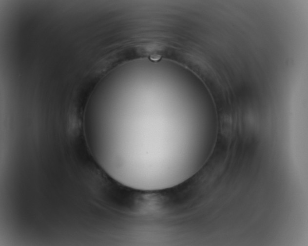 X0000089830324200706281216