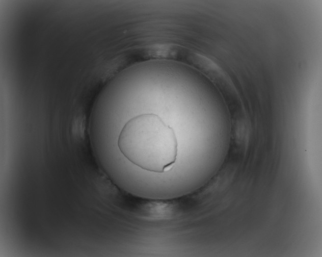 X0000089830326200706281216