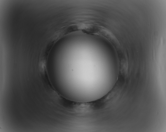 X0000089830329200706281216