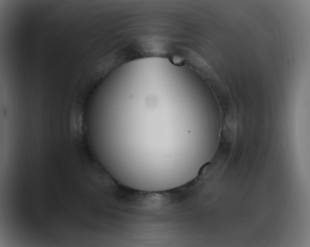 X0000089830330200706281216