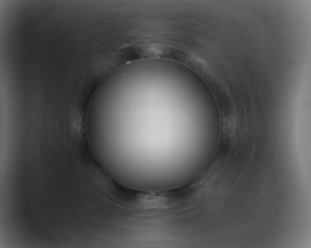 X0000089830331200706281216