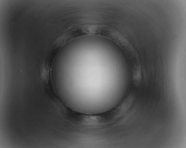 X0000089830332200706281216