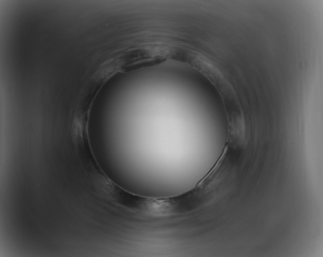 X0000089830333200706281216