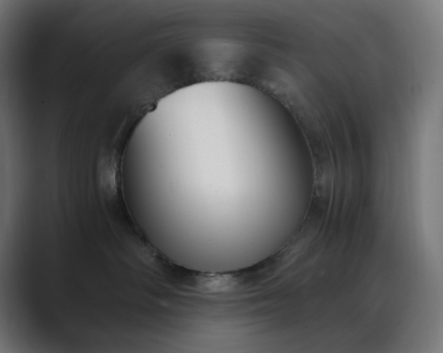 X0000089830334200706281216