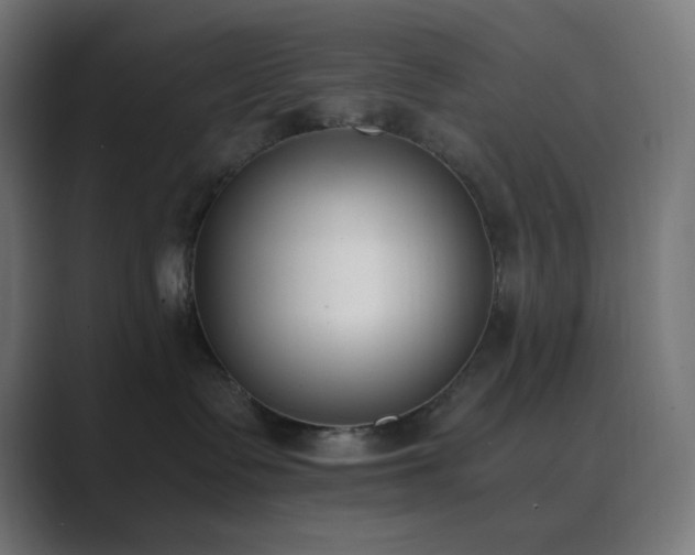X0000089830335200706281216
