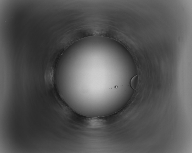 X0000089830336200706281216