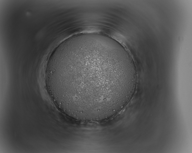 X0000089830337200706281216