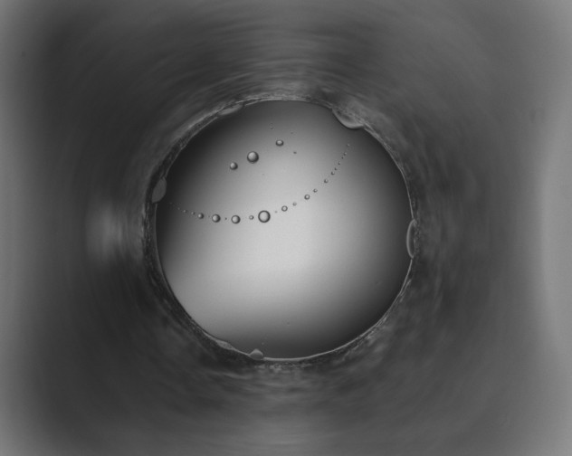 X0000089830338200706281216