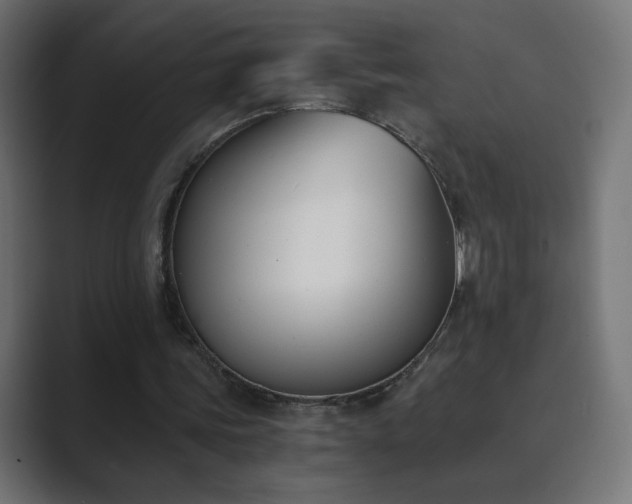 X0000089830339200706281216