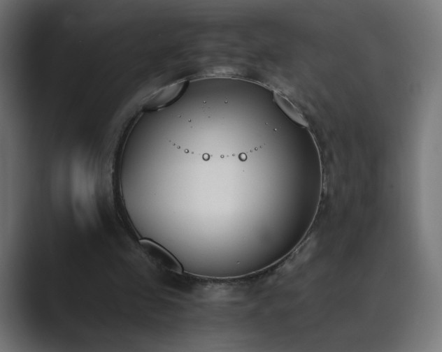 X0000089830341200706281216