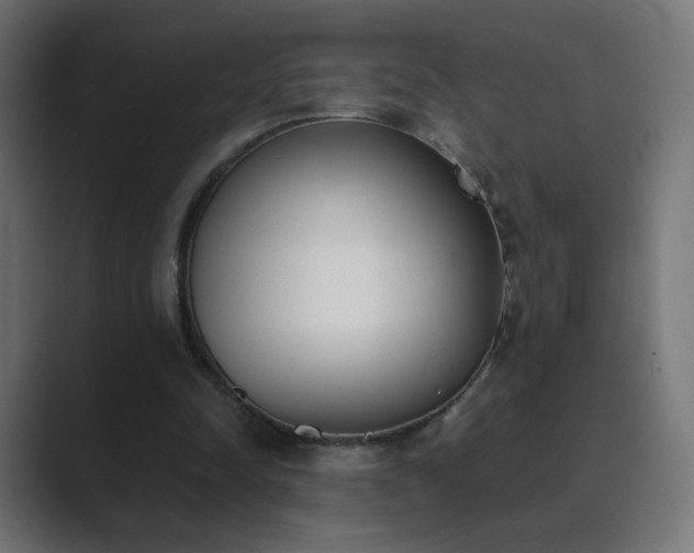 X0000089830342200706281216