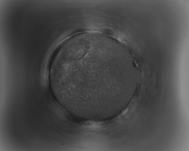 X0000089830343200706281216