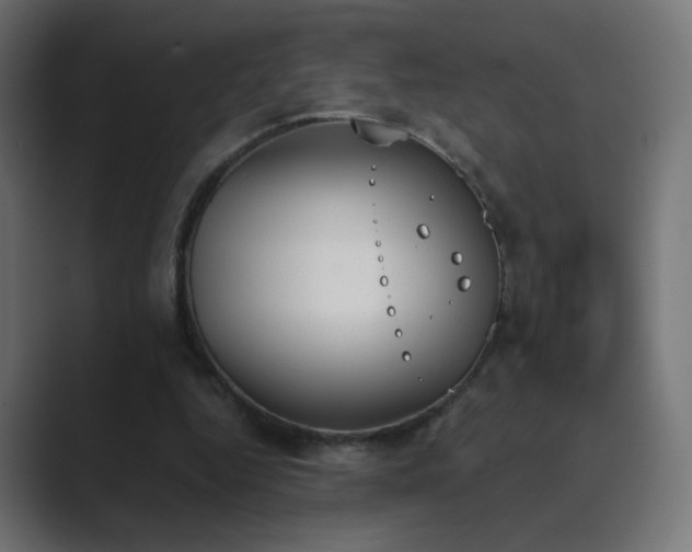 X0000089830344200706281216