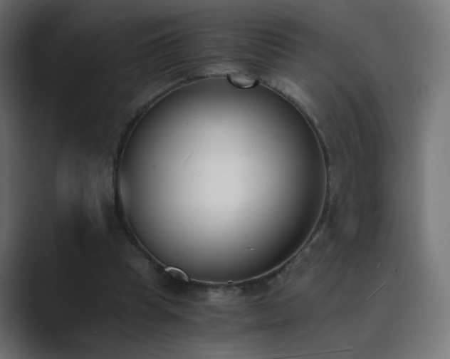 X0000089830345200706281216