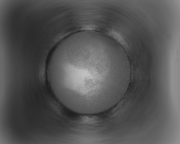 X0000089830346200706281216