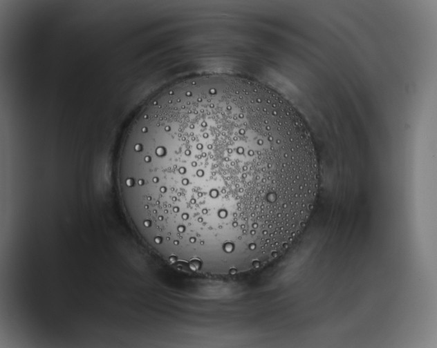 X0000089830347200706281216