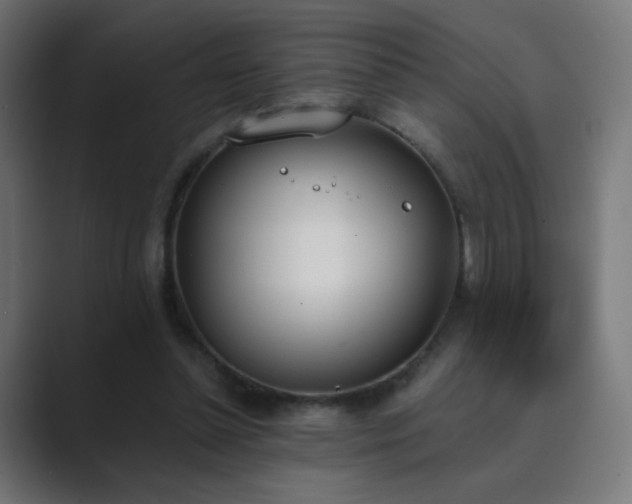 X0000089830348200706281216