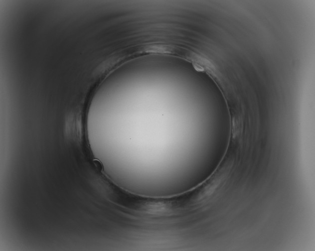 X0000089830349200706281216